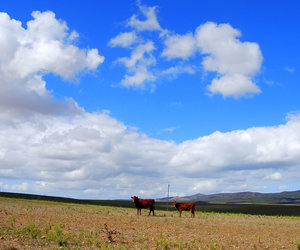 Enjoy a breath of fresh air in Napier